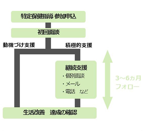 特定保健指導の流れ